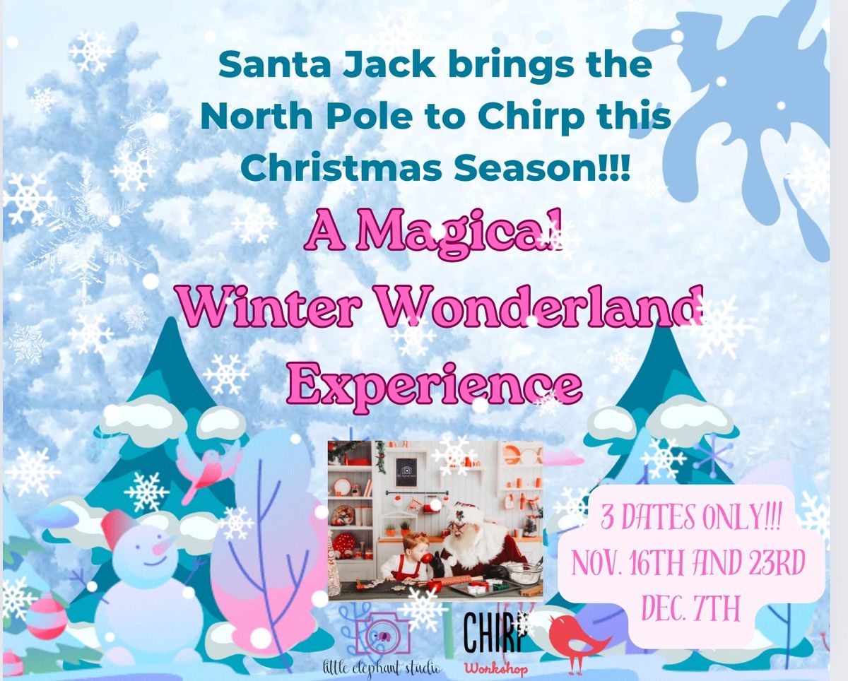 A Magical Winter Wonderland Experience with Santa Jack and Little Elephant Studio