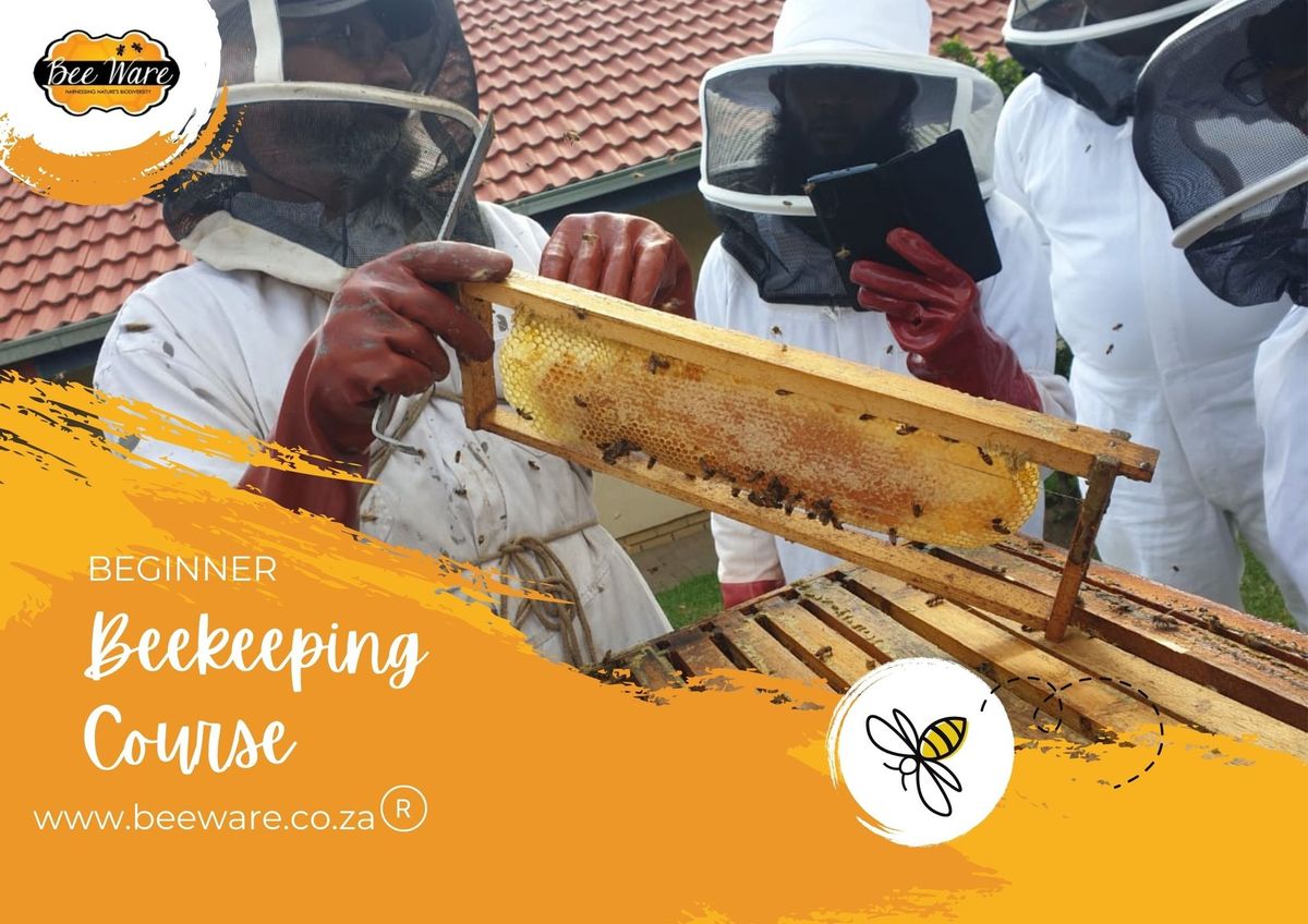 MIDRAND - Easy Buzzing Bee Course -  Beginner