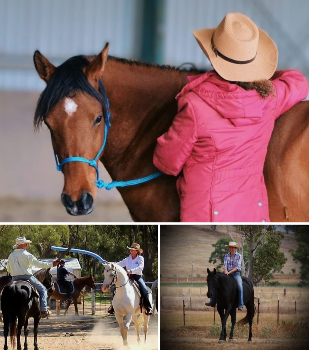 Jen Hawkins Horsemanship Savvy Clinic