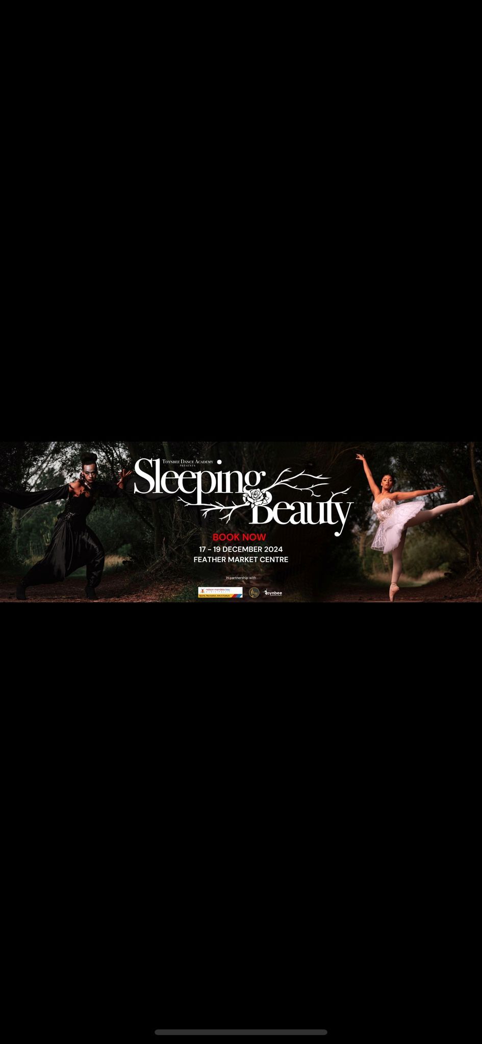 The Sleeping Beauty Reimagined