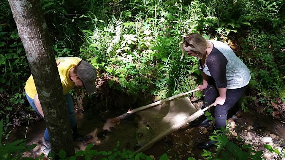 Georgia Adopt-A-Stream Macroinvertebrate Monitoring Workshop
