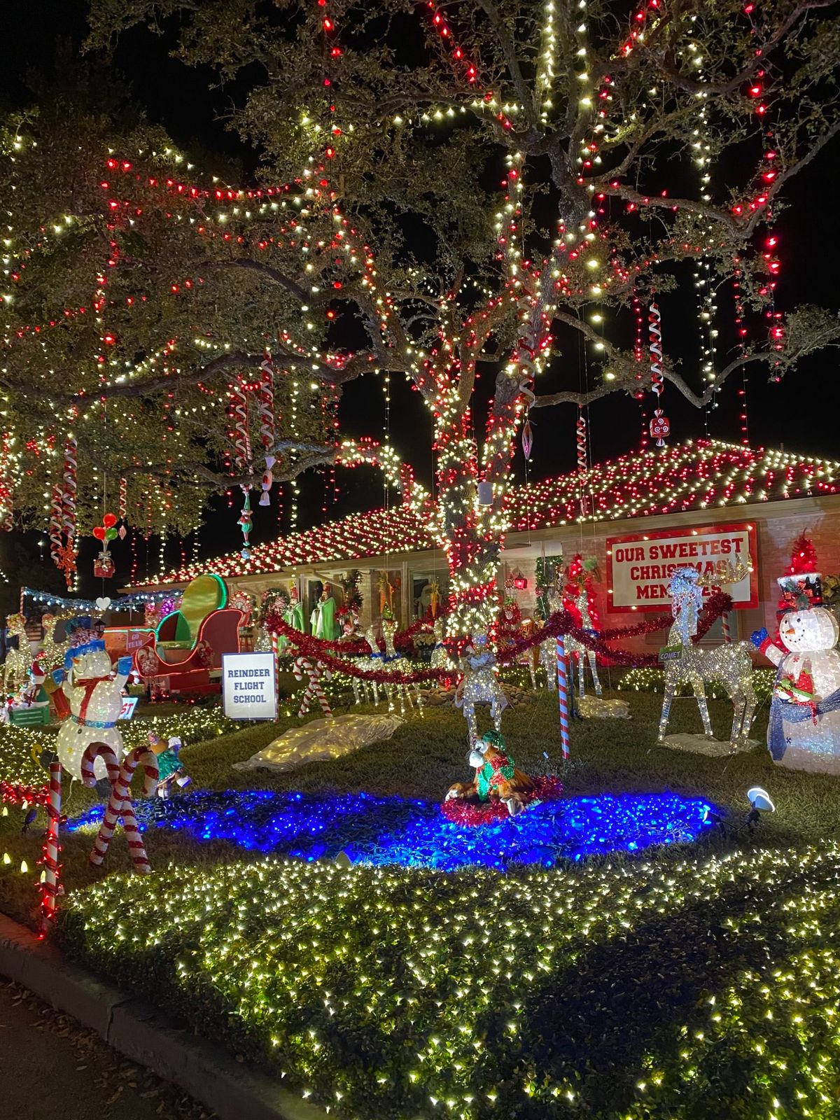 Carriage Rides in Windcrest