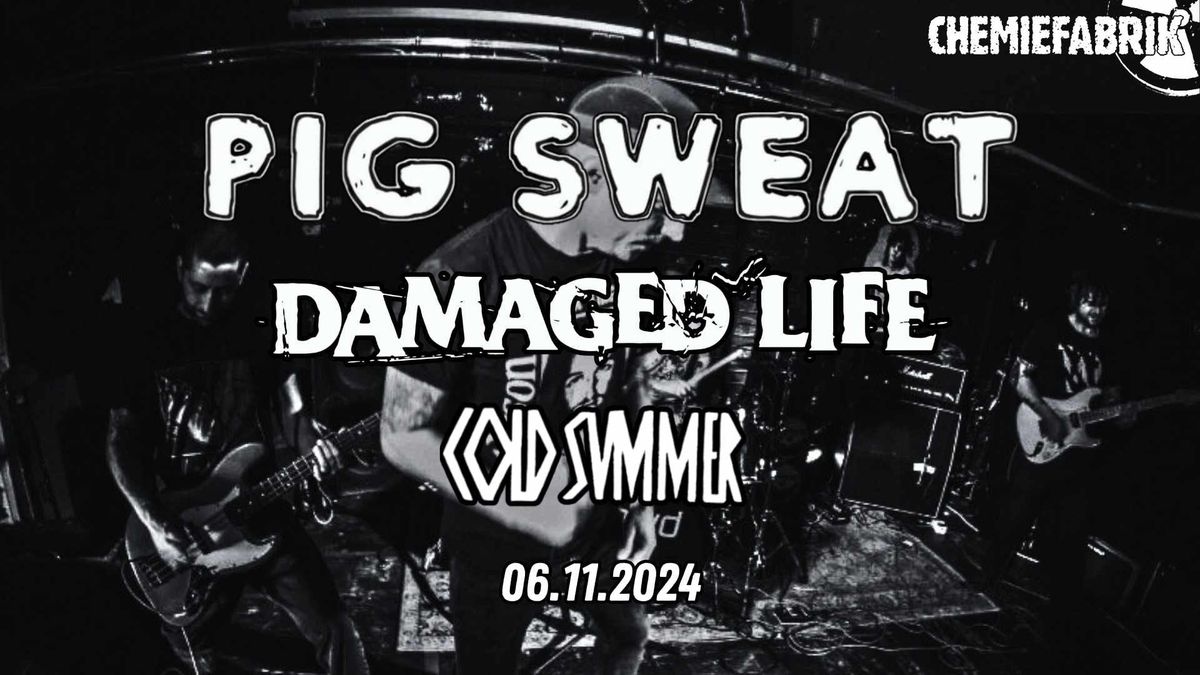 PIG SWEAT x DAMAGED LIFE x COLD SUMMER 