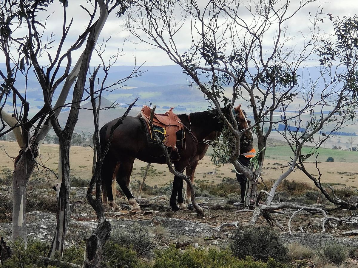 December Members Ride- Railton