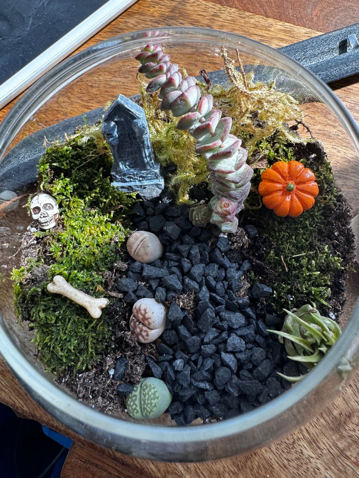 Haunted Terrariums