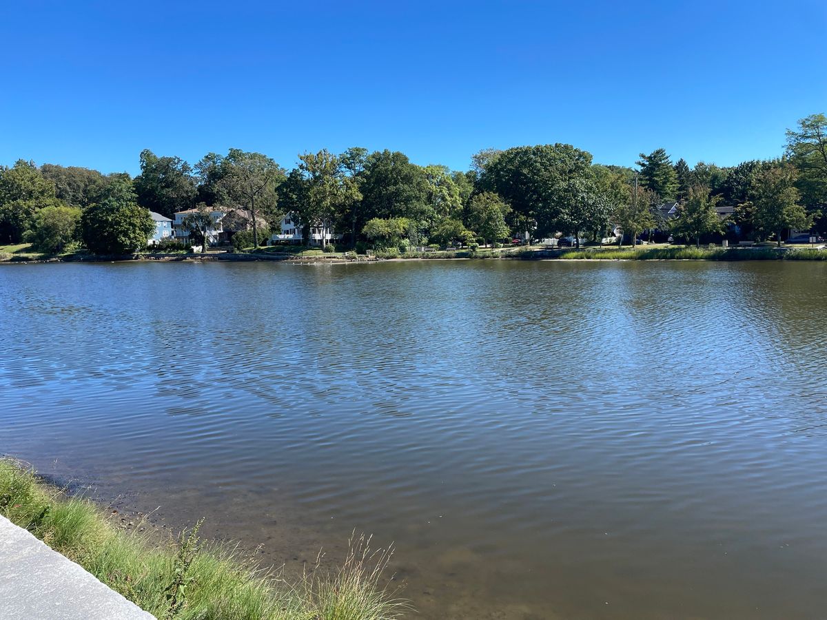 Mill Pond Park Coastal Cleanup