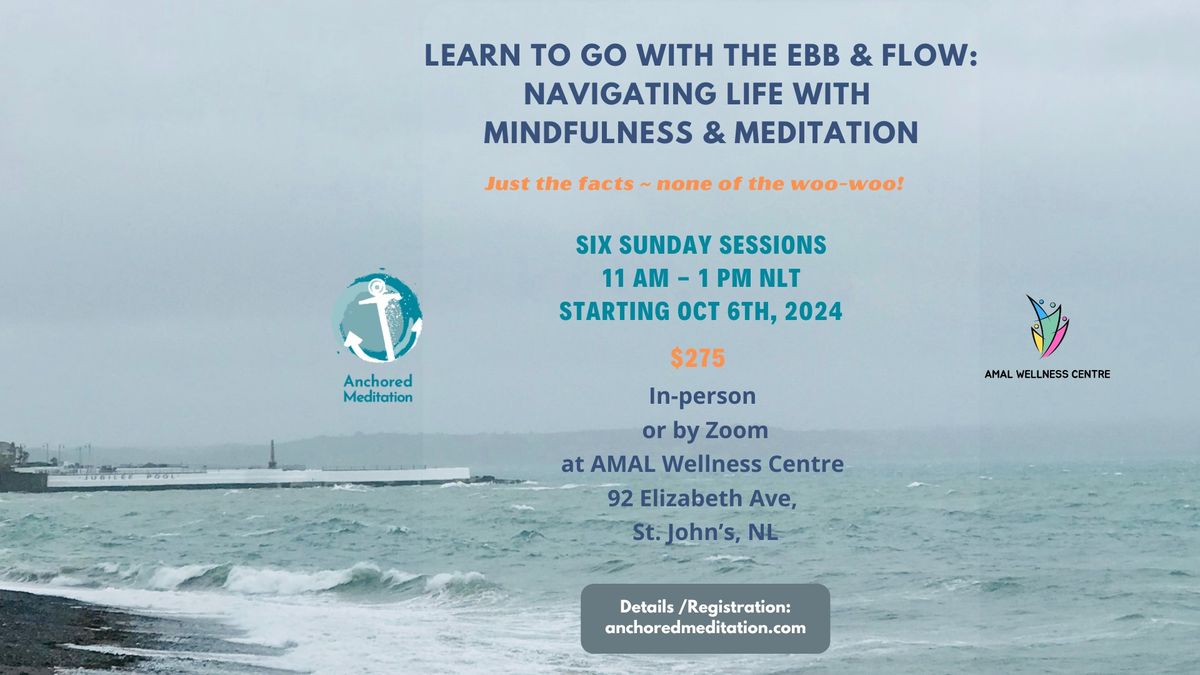 Learn to Go with the Ebb & Flow: Navigating Life with Mindfulness & Meditation!