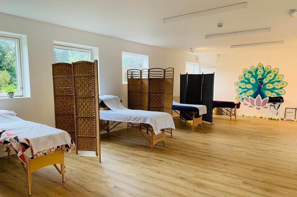 Community Group Acupuncture Clinic-Spring Renewal