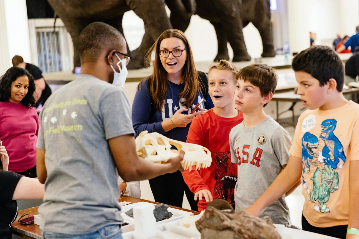 Field Family Nights: Field Games