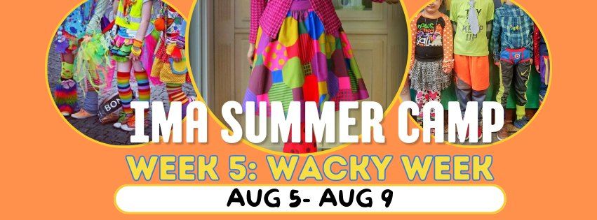 Summer Camp Week 5: Wacky Week