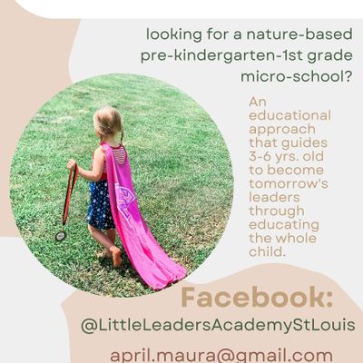 Little Leaders Academy