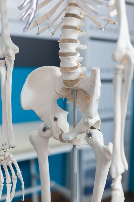  Balancing The Pelvis -A Connective Tissue Approach with Wendy Hines (8 CE)