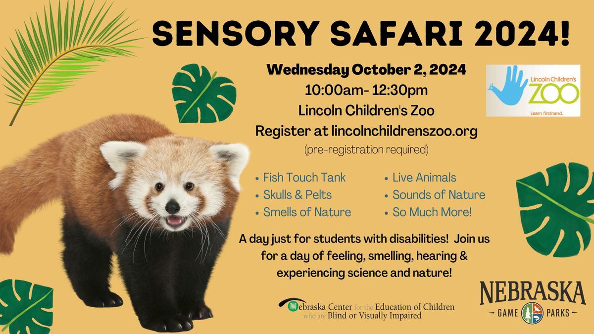 Sensory Safari 2024