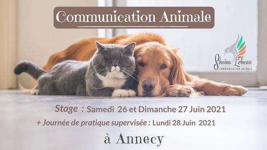 Stage Dinitiation A La Communication Animale Annecy 26 June To 27 June