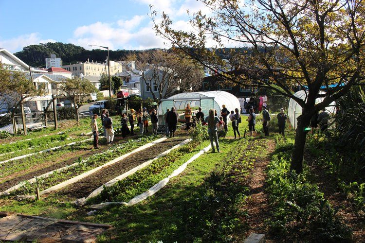 Seniors' Week urban farm tour and tea