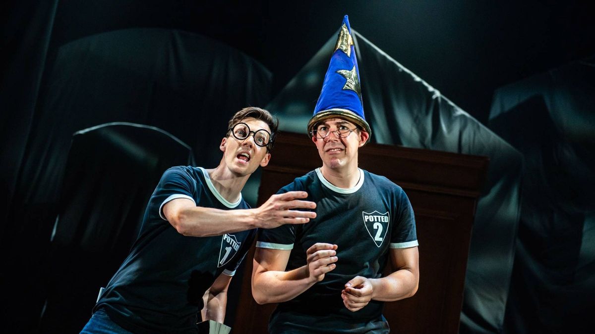 Potted Potter: The Unauthorized Harry Experience