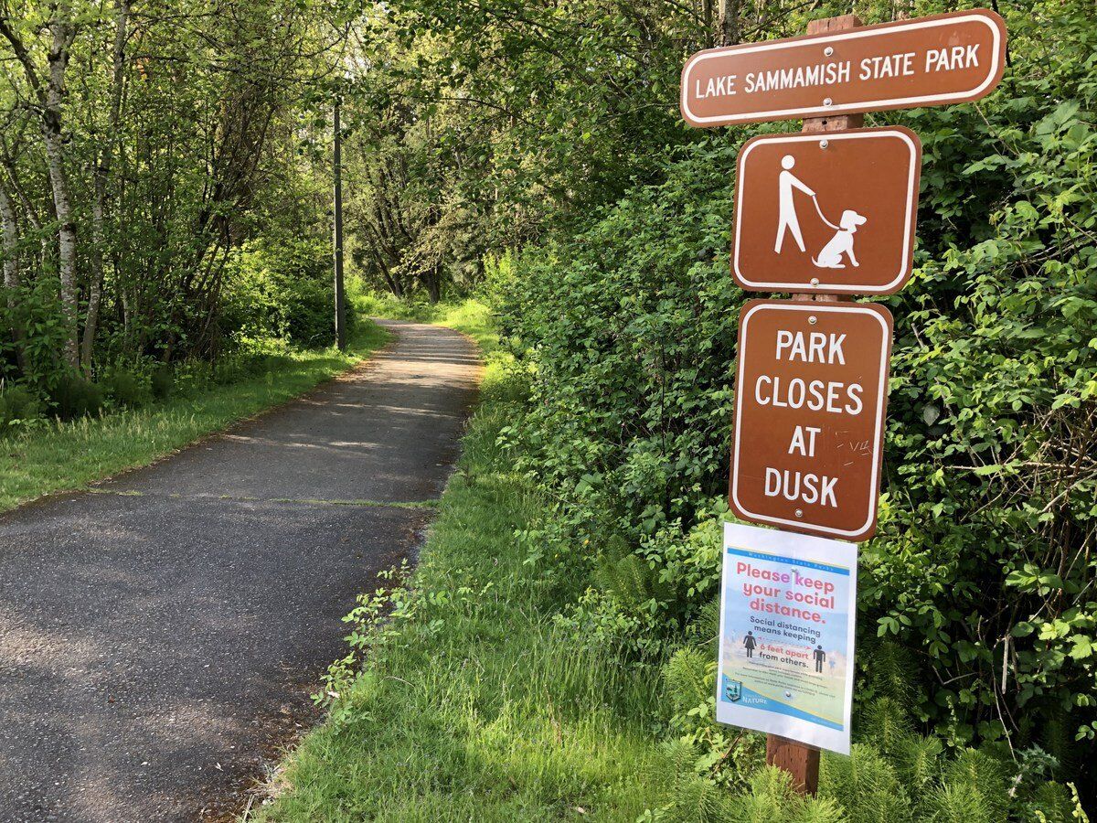 Kokanee Salmon Viewing Tour at Lake Sammamish State Park