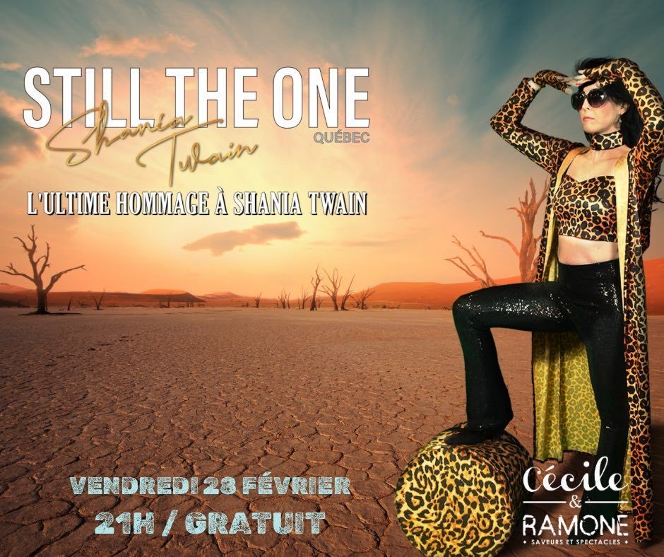 HOMMAGE - SHANIA TWAIN par STILL THE ONE