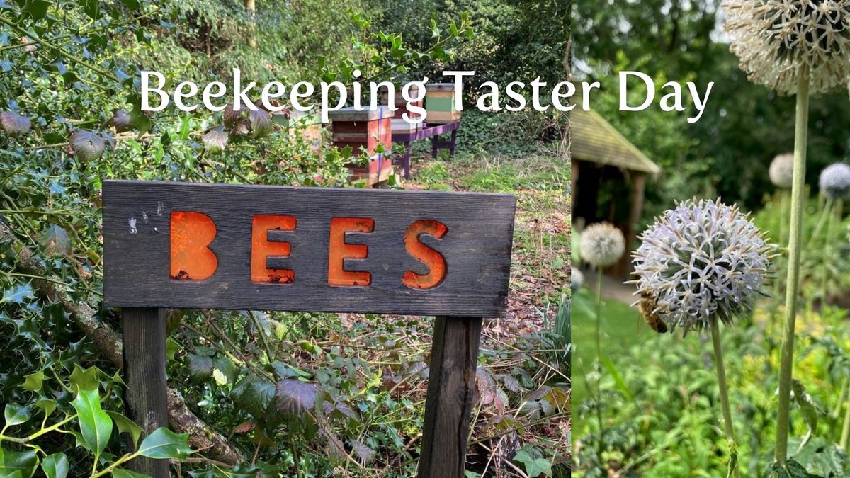 Beekeeping Taster Day