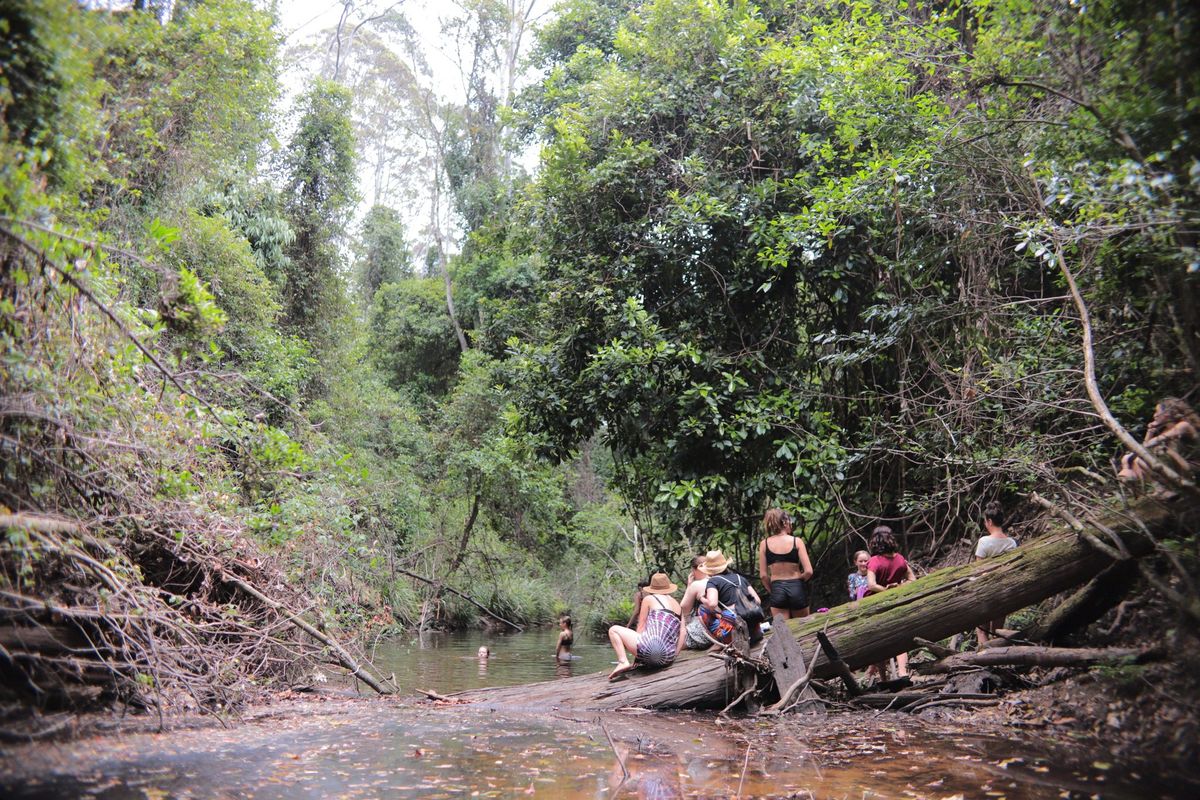 Womens Rewilding Gathering 5 Days