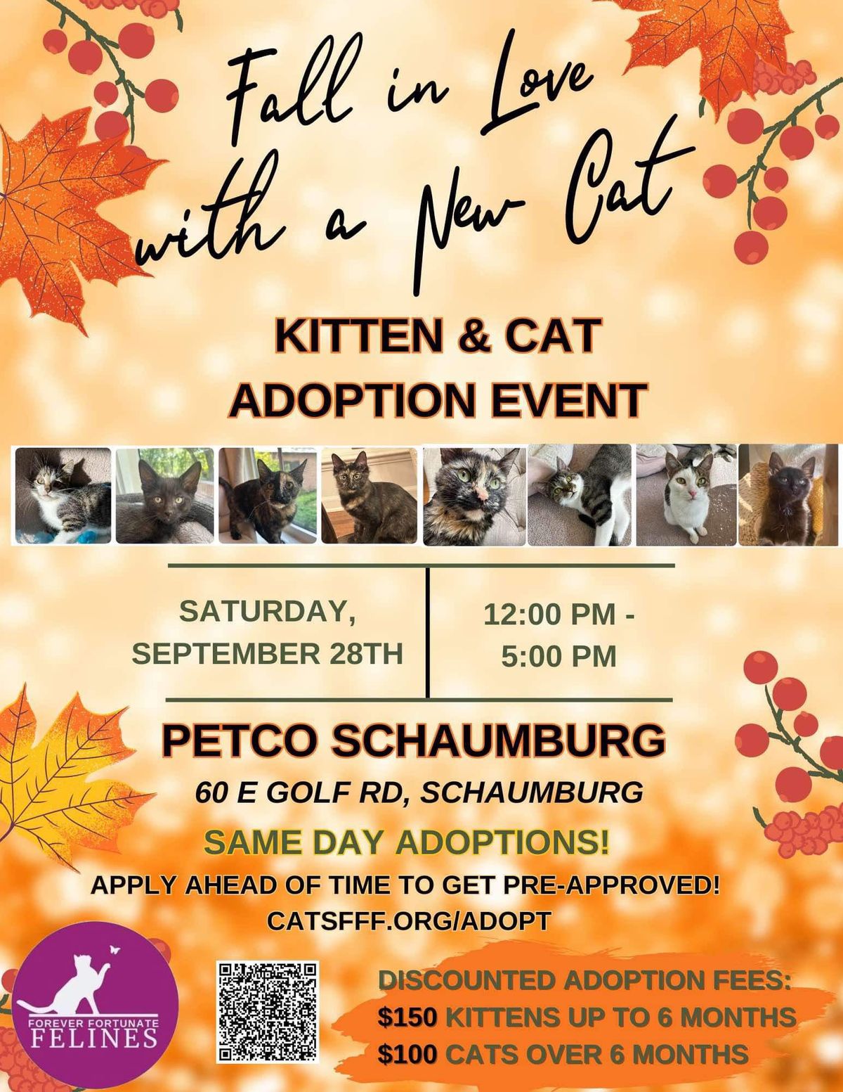 Adoption Event - Petco Schaumburg 