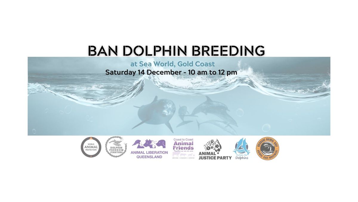 Ban Dolphin Breeding - Saturday 14 December 2024