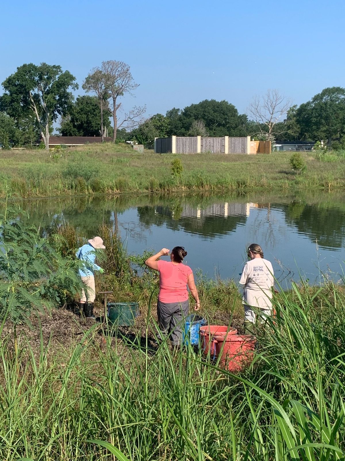 Wetlands Nursey Workdays 