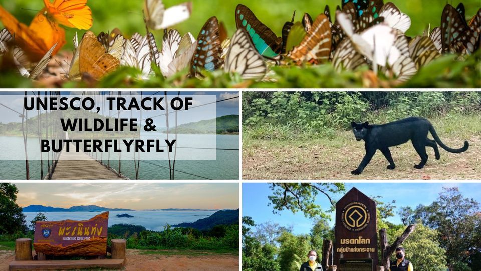 UNESCO, Track of wildlife & Butterfly