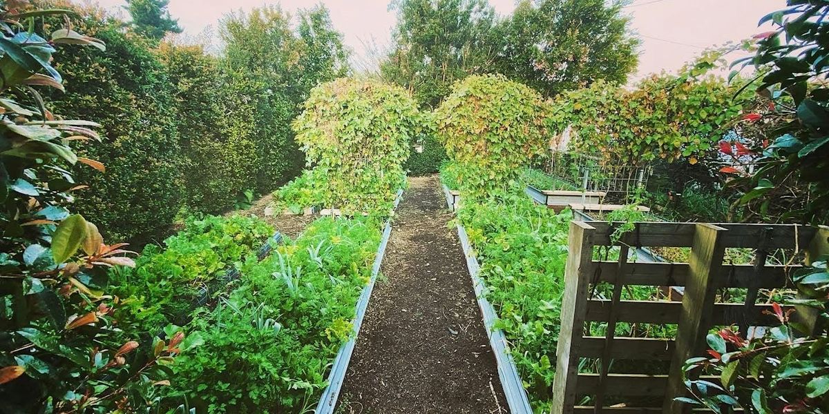 Enhanced Vegetable Gardening: Seniors Festival