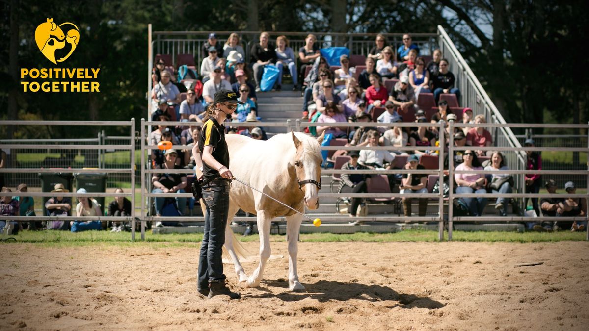 Canterbury: Reward-based training with your horse