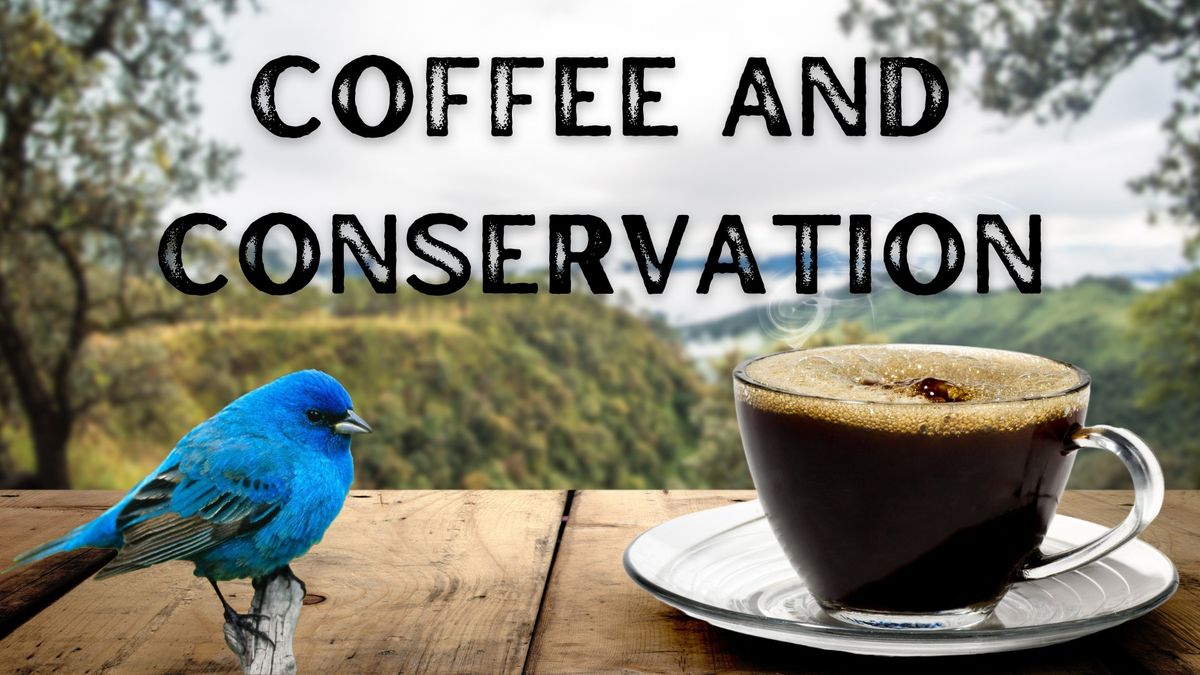 Coffee and Conservation