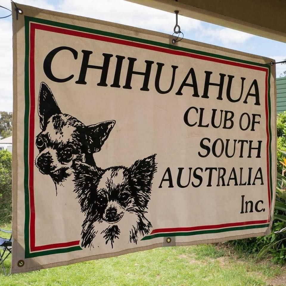 13th National Chihuahua Show