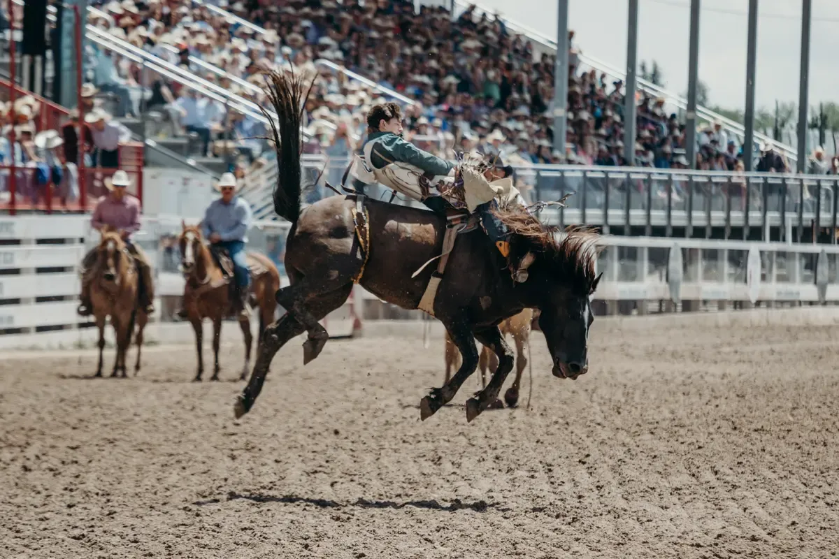 The American Rodeo Qualifier Tournament (Regionals) - Friday