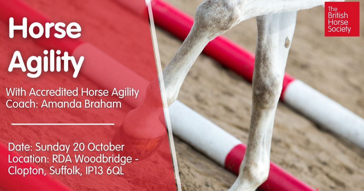 Have a Go at Horse Agility