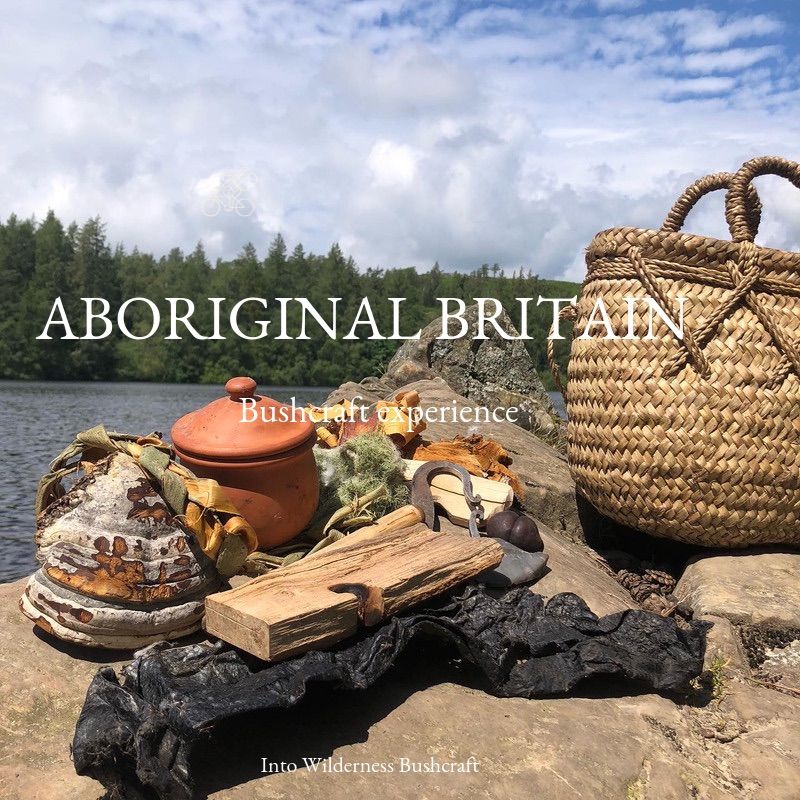 Aboriginal Britain 