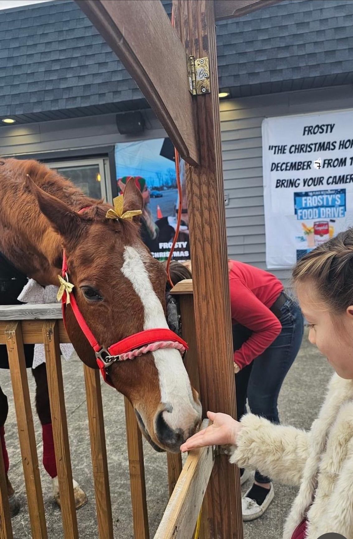 Frosty The Christmas Horse for COPE