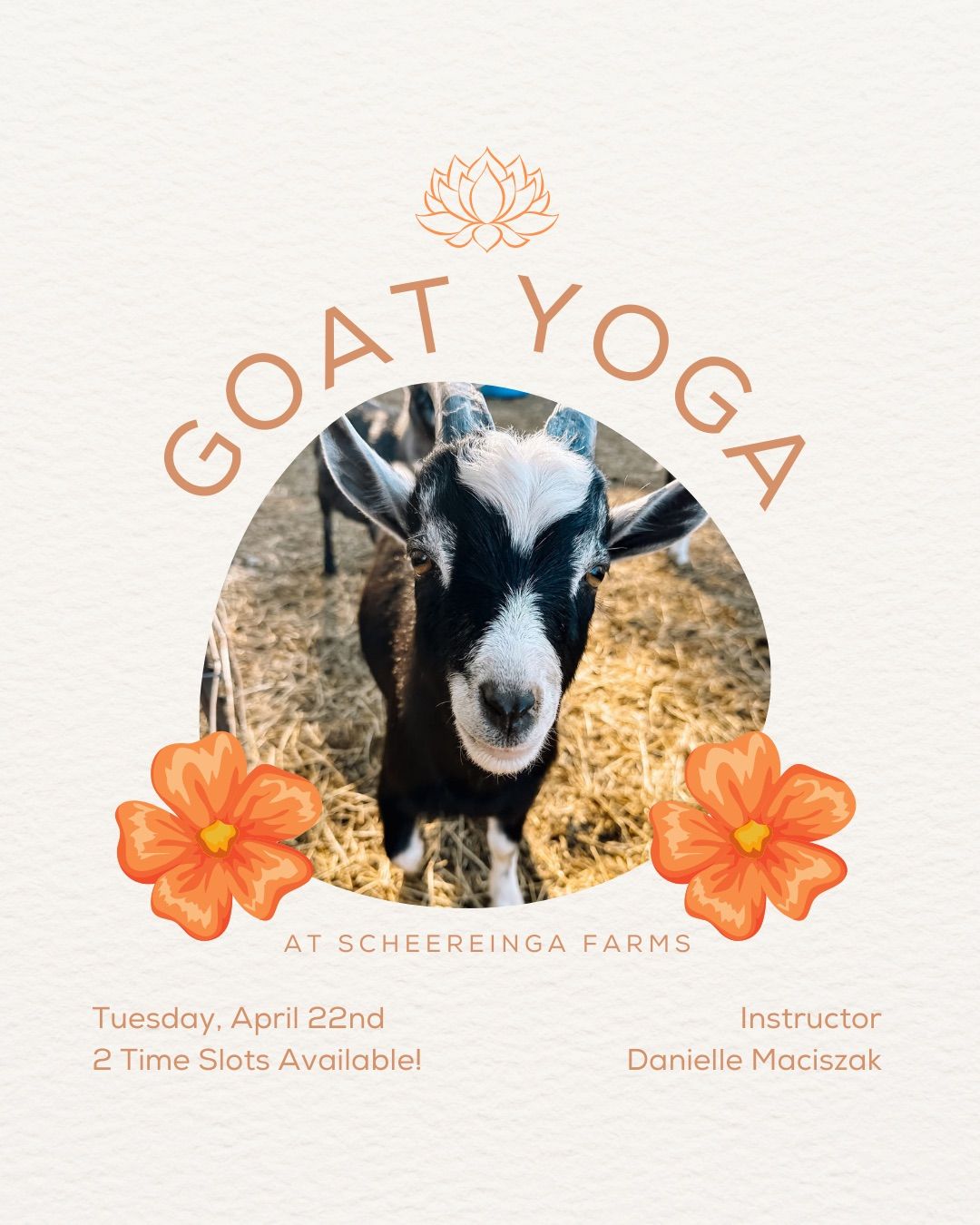 Goat Yoga 