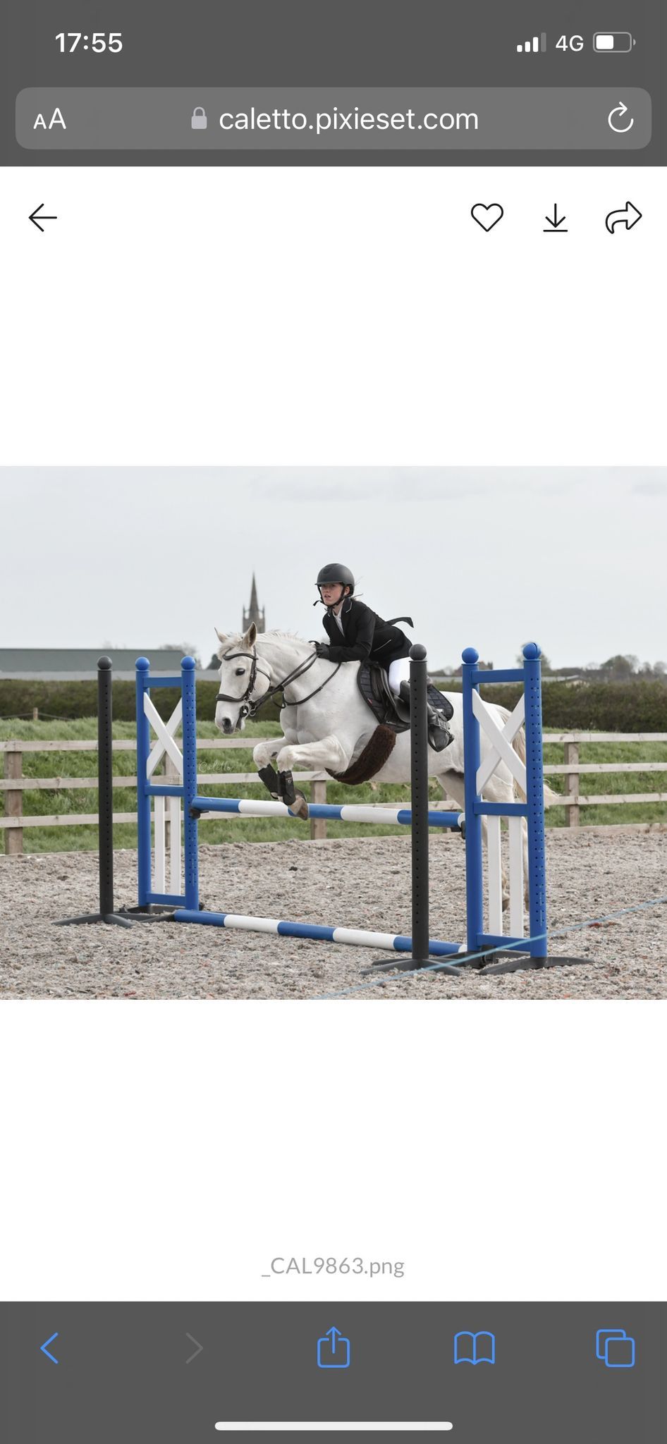 H&P Unaffiliated Showjumping