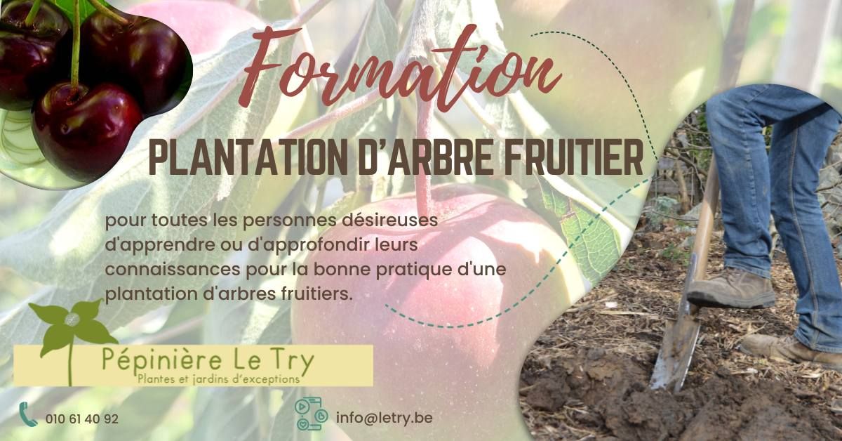 Formation sur la plantation d'arbre fruitier