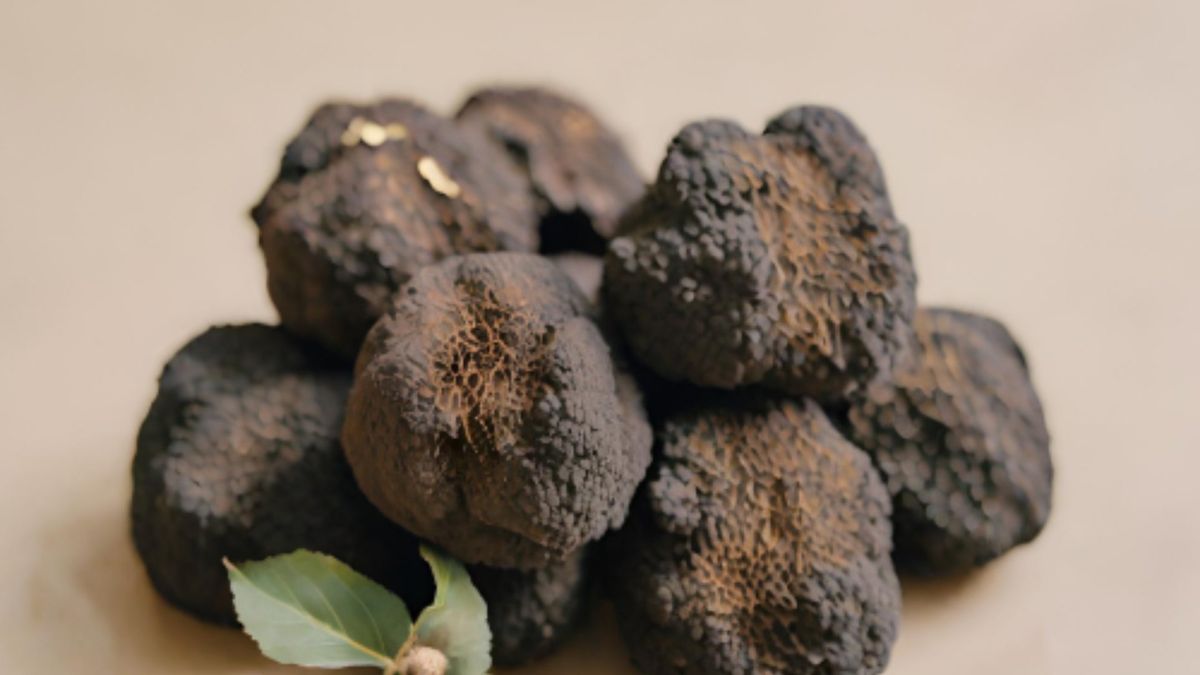Truffle Dinner: The First of the Season