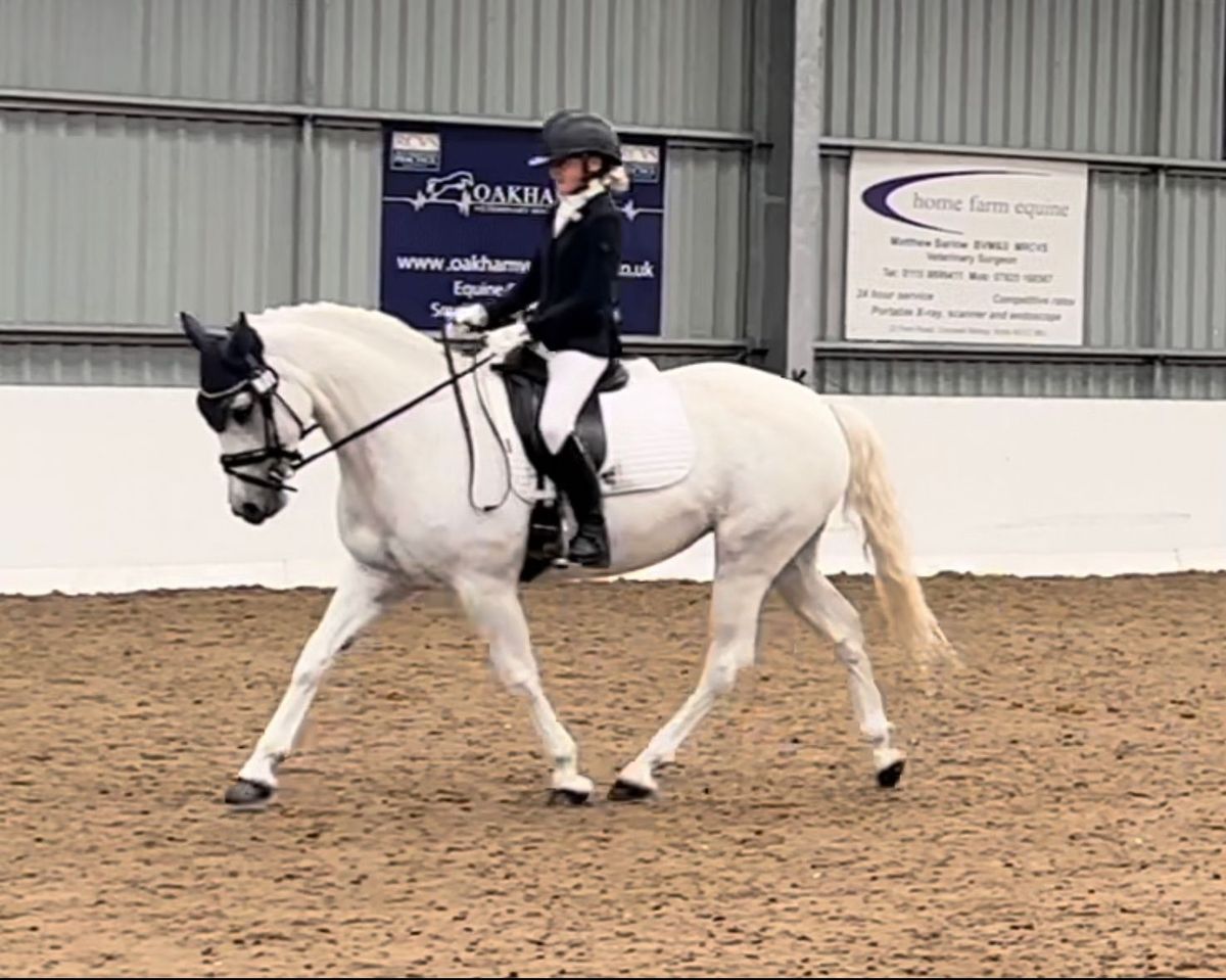 Totleywells OPEN Unaffiliated Dressage Show incorporating Barrier Spring Festival Qualifiers