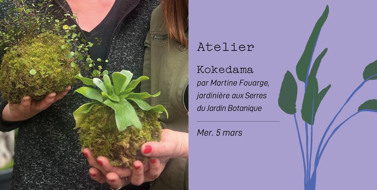 Atelier - Kokedama