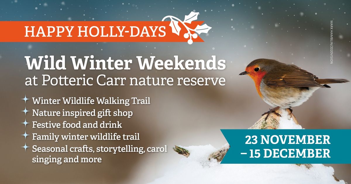 \ud83c\udf84Happy Holly-Days: Wild Winter Weekends at Potteric Carr \u2744