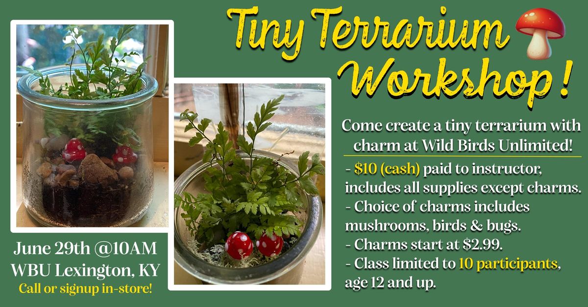 Tiny Terrarium Workshop! (Full)