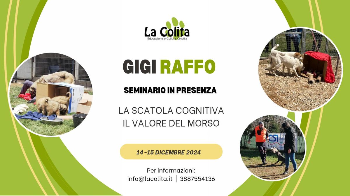 Seminario in presenza con Gigi Raffo: "La scatola cognitiva" e "Il valore del morso"