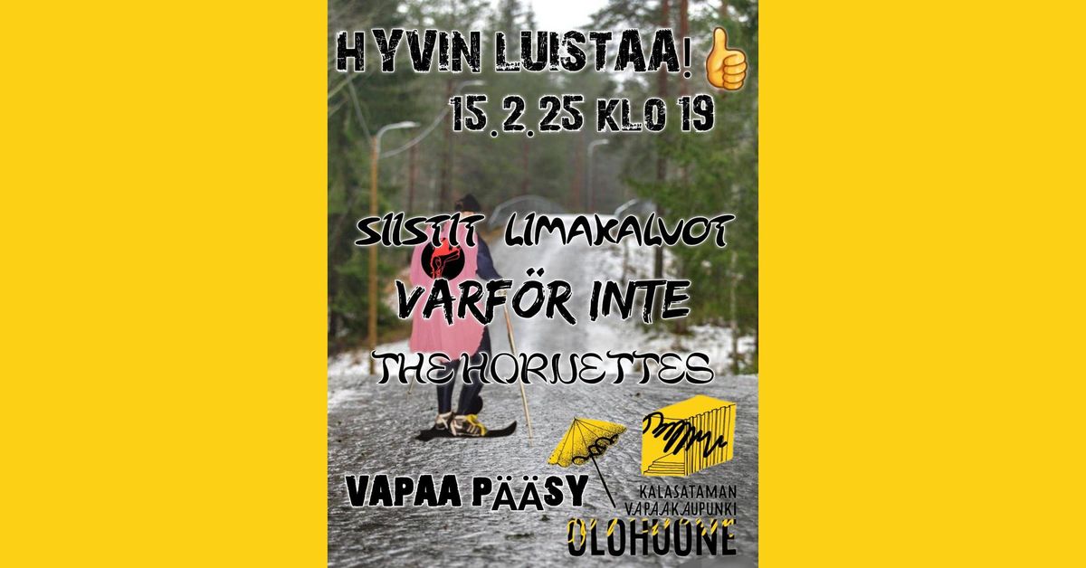 HYVIN LUISTAA!