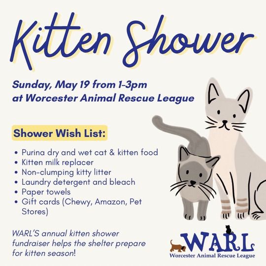 WARL Kitten Shower 