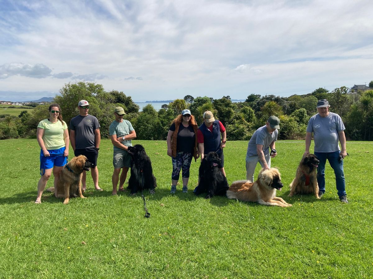 Club Walk - Macleans Park