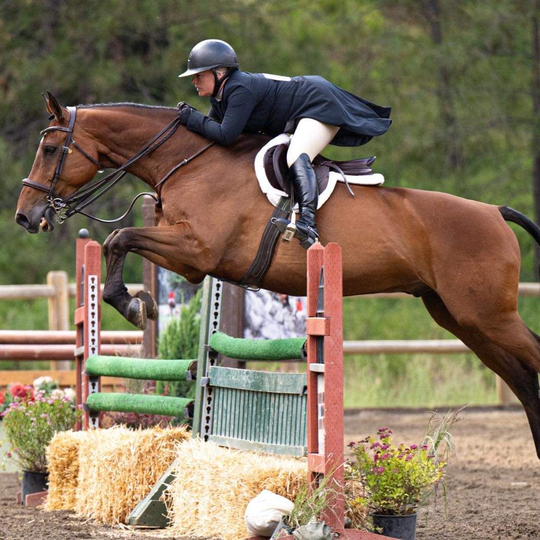 Fall Hunter Jumper Clinic with Amanda Gelderman