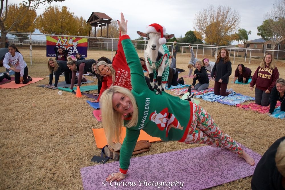 Ugly Christmas Sweater Goat and Alpaca Yoga 10am 12\/6